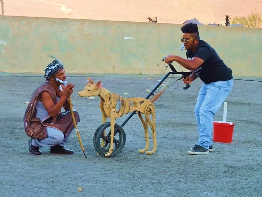 Net Vir Pret image 5